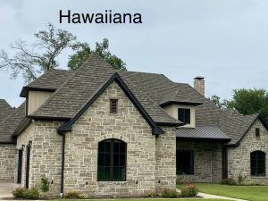 Hawaiiana