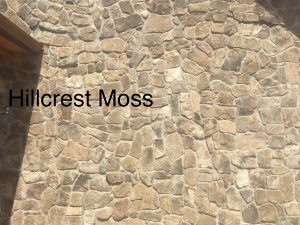 Hillcrest Moss Rock