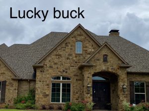 Lucky Buck Chopped