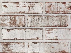Claymex French White